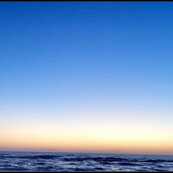 Meet your Posher, Zoe - Picture 1 of 1